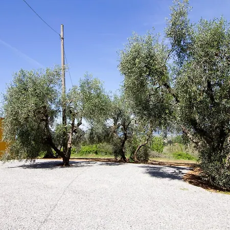 Casale Il Petruccaio - Jacuzzi E Vista Panoramica Sulle Colline Toscane Apartman